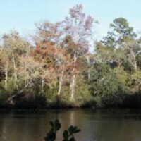 Black-Creek-Area Black-Creek-Area