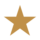 2026-membership-level-icons-star-solid 2026-membership-level-icons-star-solid
